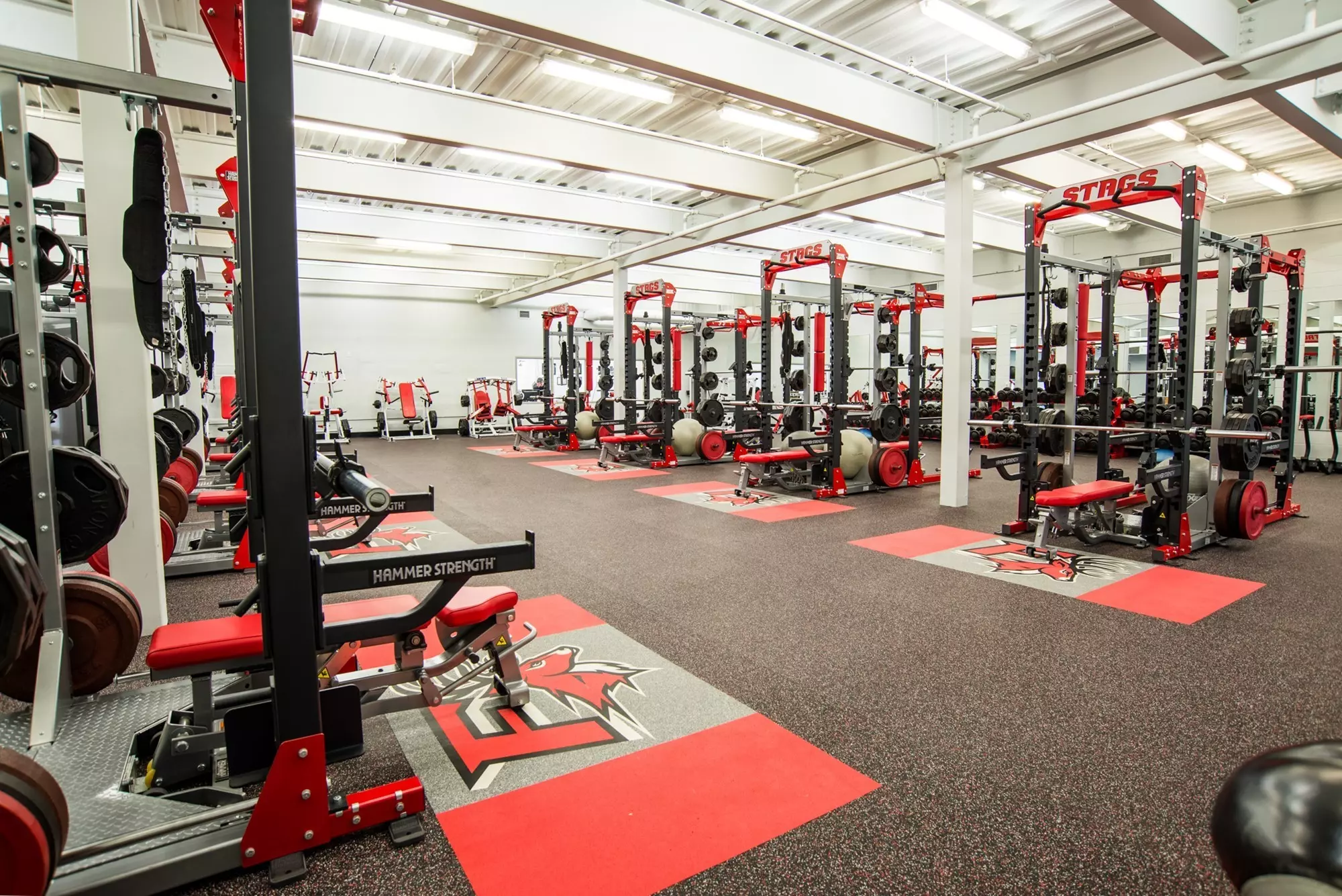Claremont-Mudd-Scripps Stags weight room